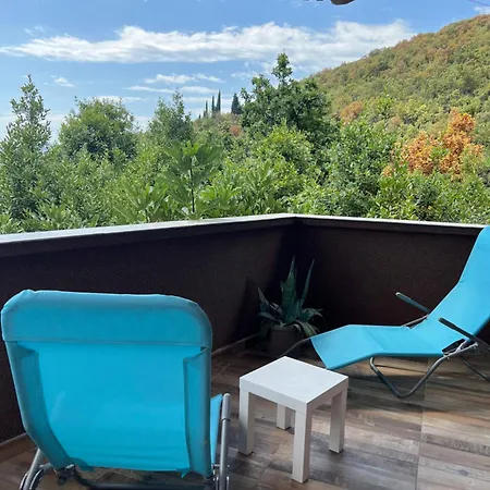 Salty Paws Dom wakacyjny *